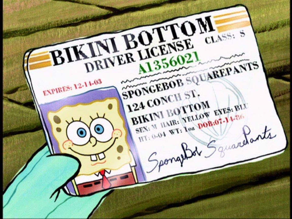 The fictional drivers license of cartoon character Spongebob Squarepants held by Mrs. Puff.